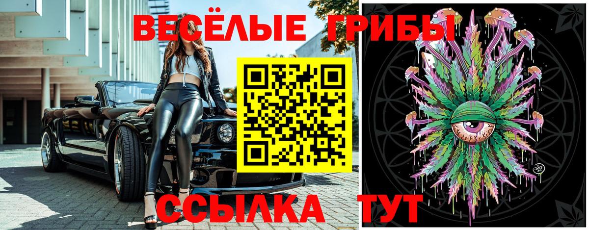 Псилоцибиновые грибы мухоморы  Вход с VPN  Берёзовский 